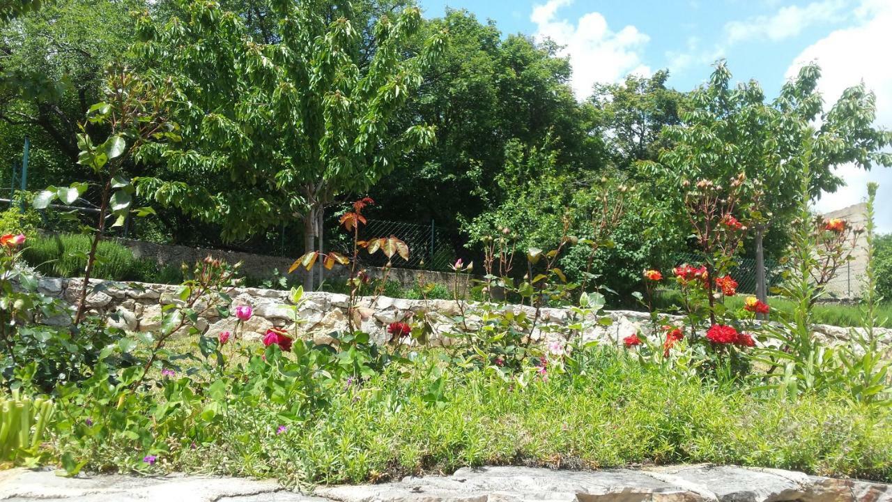 Villa Cetina Milasi Exterior photo