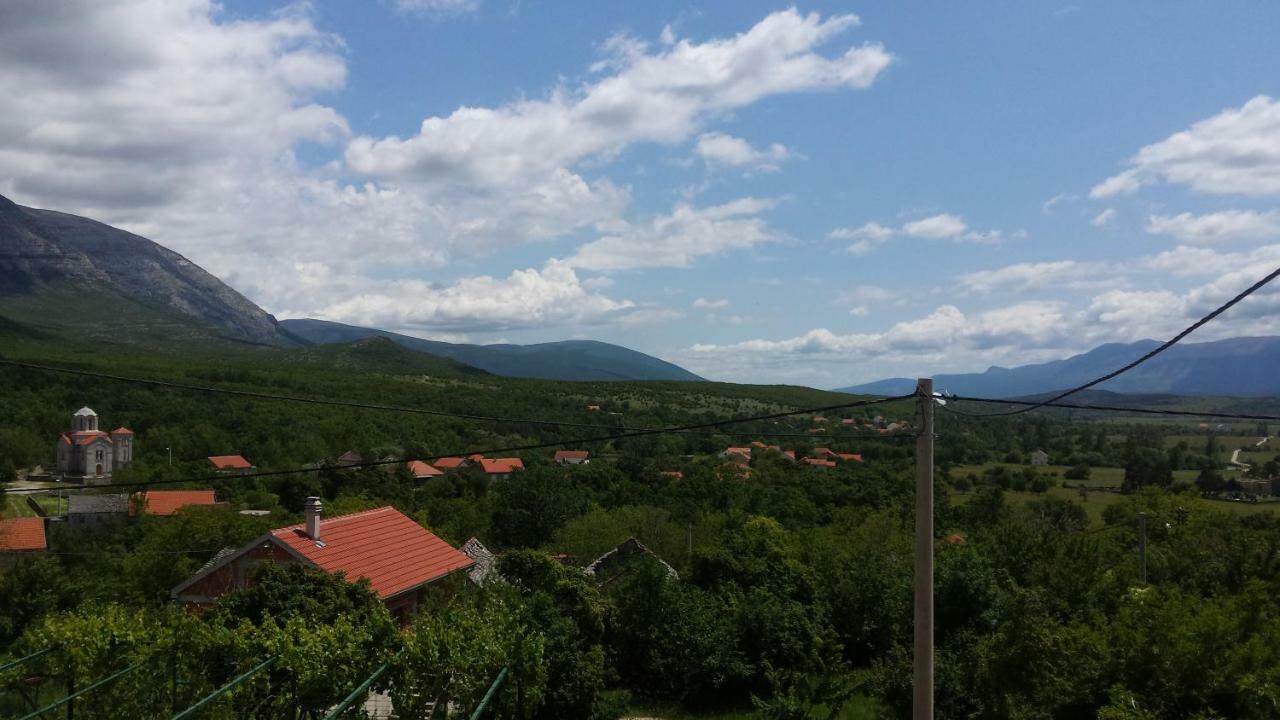 Villa Cetina Milasi Exterior photo